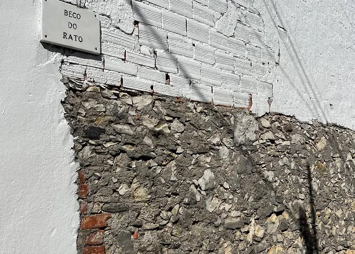 Sun And Ocean House With 2 Bathrooms 펜션 Coz